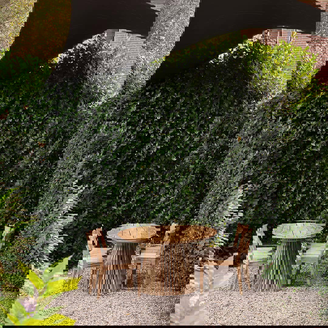 klassieke tuinstoel teak