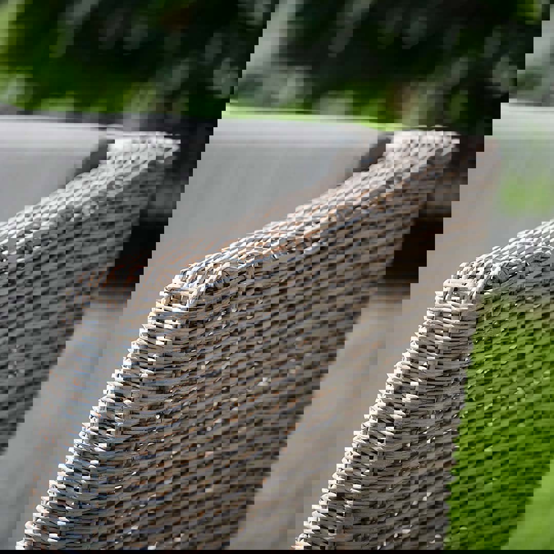 luxe rotan loungestoel EVI